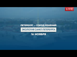 Петербург — город решений. Экология Санкт-Петербурга