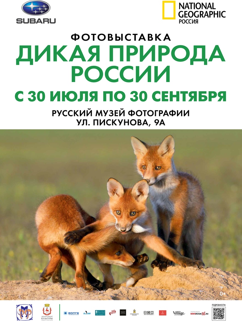 Афиша Нижний Новгород Выставка "Дикая природа России"